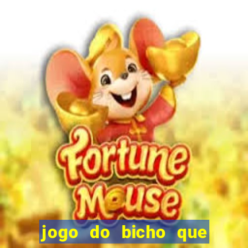 jogo do bicho que paga no pix